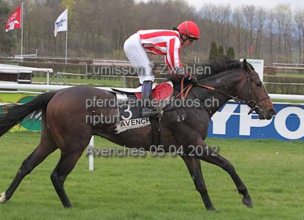 Lumisson 7 Zwahlen prot